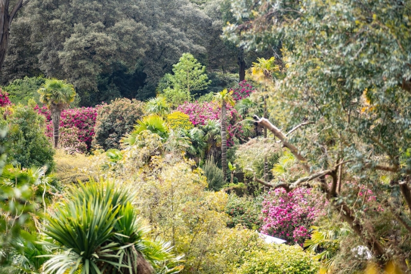 Abbotsbury Gardens